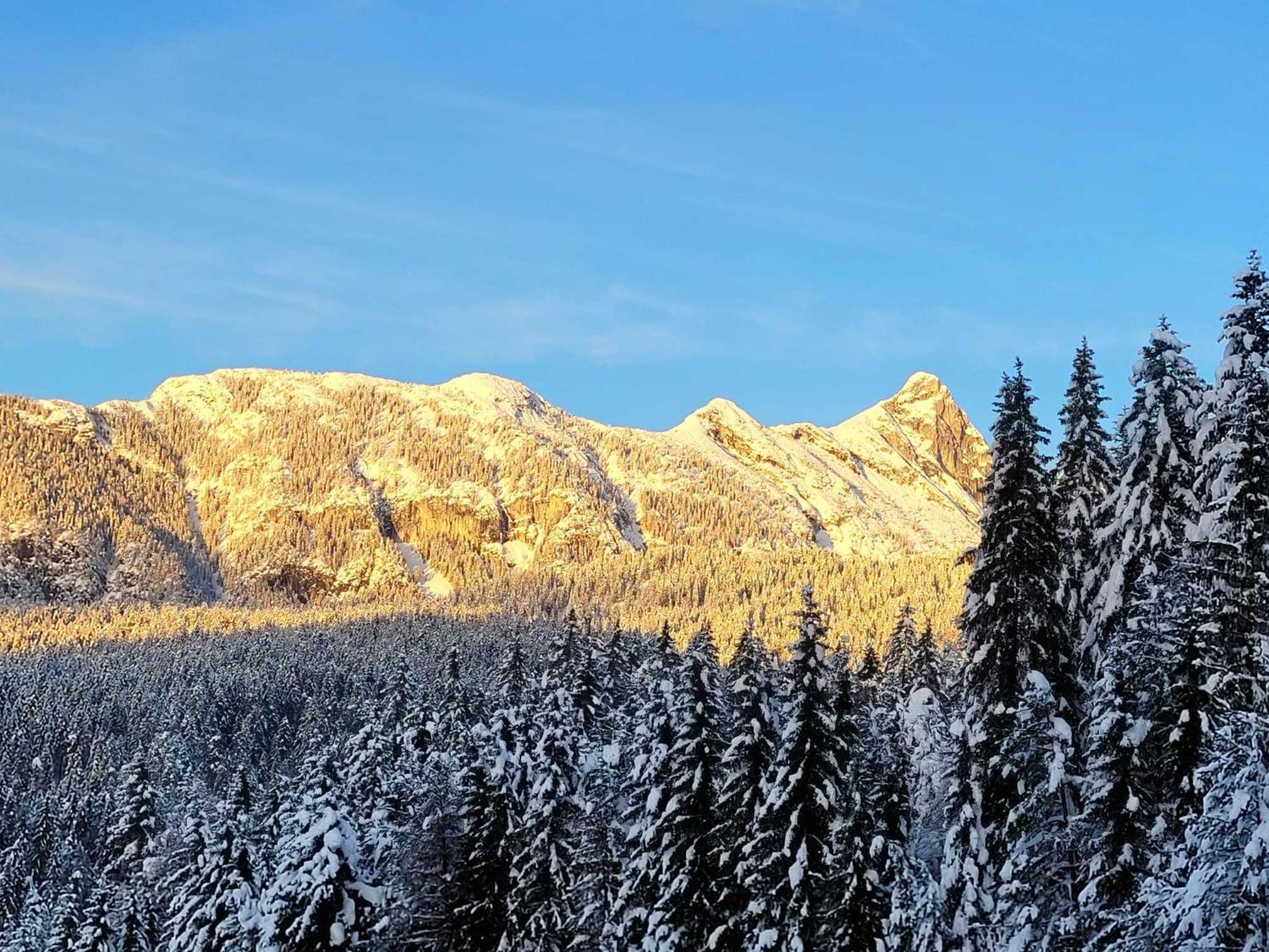 Alpenchalet Im Leutaschtal Luaran gambar